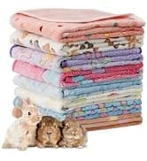 6 Pack Guinea Pigs Fleece Blankets — collection imagery