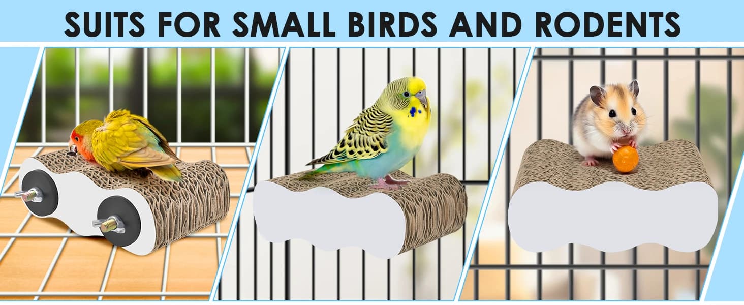 Bird Perch Conure Cage Stand Parakeet Shredder Foraging Toys Cockatiel Platform for Small Parrots Conure — product details