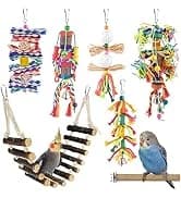 Bird Perch Conure Cage Stand Parakeet Shredder Foraging Toys Cockatiel Platform for Small Parrots Conure — collection imagery