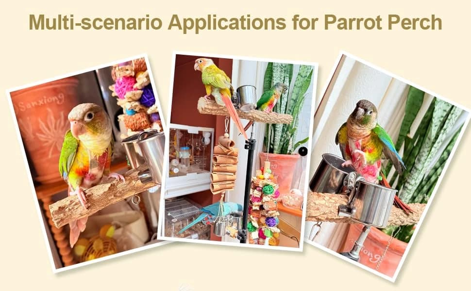 3-Layer 16-63 Inch Height Adjustable Bird Perch Pepper Wood Birds Training Perch Stand Parakeet Perches Outdoor — product details
