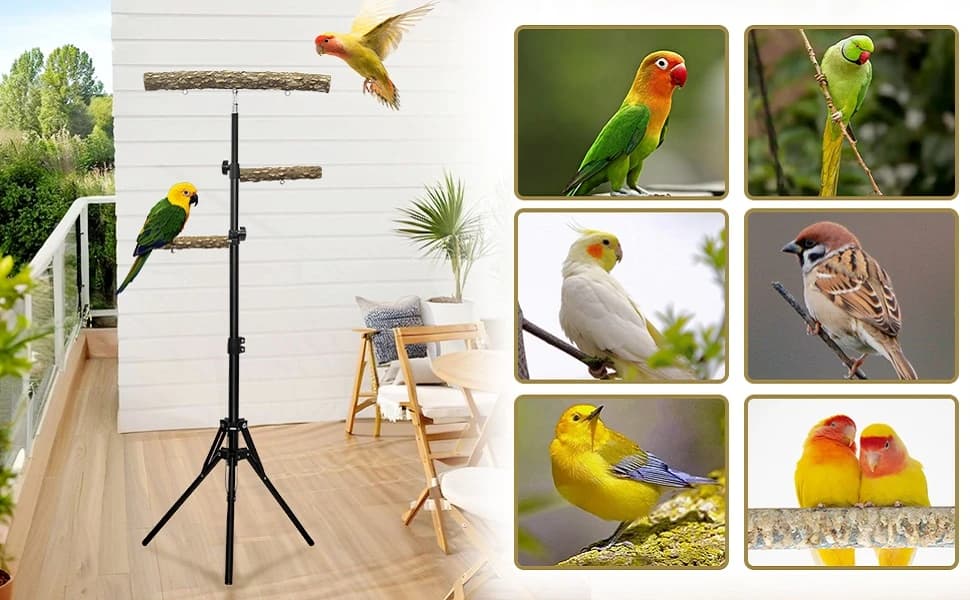 3-Layer 16-63 Inch Height Adjustable Bird Perch Pepper Wood Birds Training Perch Stand Parakeet Perches Outdoor — product details