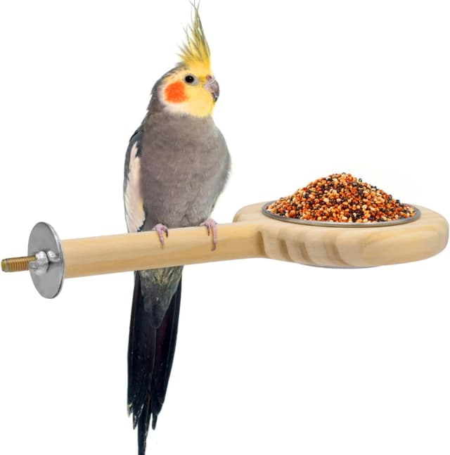 Bird Perch Bird Feeding Cup Parrot Wood Perch Stand Toy Bird Cage Accessory for Parakeet Lovebird Conure Budgie