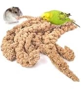 Bird Perch Bird Feeding Cup Parrot Wood Perch Stand Toy Bird Cage Accessory for Parakeet Lovebird Conure Budgie — collection imagery