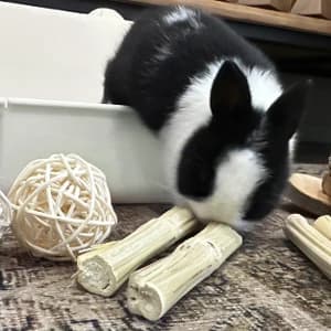 Rabbit Litter Box Bunny Litter Box Guinea Pig Potty Trainer Corner Bedding Pet Potty Pan for Rabbit Guinea Pig — NATURAL MATERIAL: Small animals chewing toys