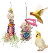 Bird Swing Colorful Rope Perch Climbing Toy for Parrots (M 10.4inch) — collection imagery