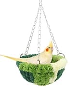 Bird Swing Colorful Rope Perch Climbing Toy for Parrots (M 10.4inch) — collection imagery
