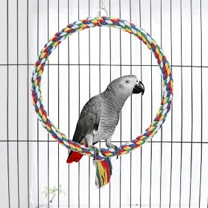 Bird Swing Colorful Rope Perch Climbing Toy for Parrots (M 10.4inch) — Bird Swing Toys Enrich the Life of Pet Birds