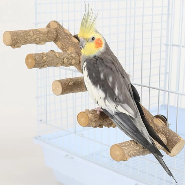 Bird Parrot Ladder Perch for Cage — Nature Wooden Bird Bridge Exercise Stands Parrot Climbing Chewing Toys for