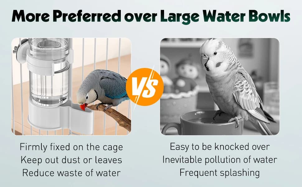 Bird Water Dispenser — Automatic Water Feeder — product details