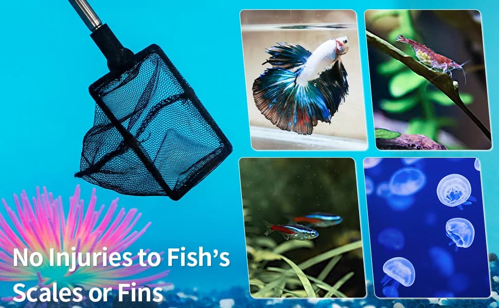 Aquarium Fish Net with Extendable 9-24 Inch Long Handle for Betta Fish Tank Small Koi Pond and Pool — product details