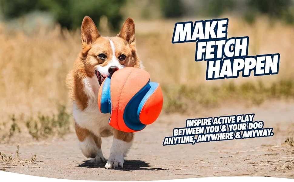 Kick Fetch Ball Dog Toy — Large, 8in, for Large Dogs, Floats — product details