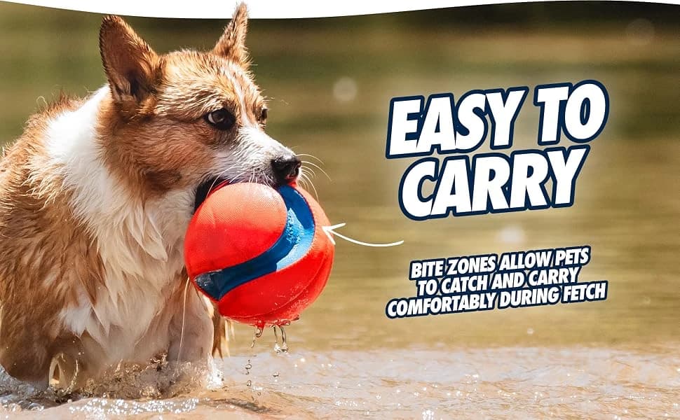 Kick Fetch Ball Dog Toy — Large, 8in, for Large Dogs, Floats — product details