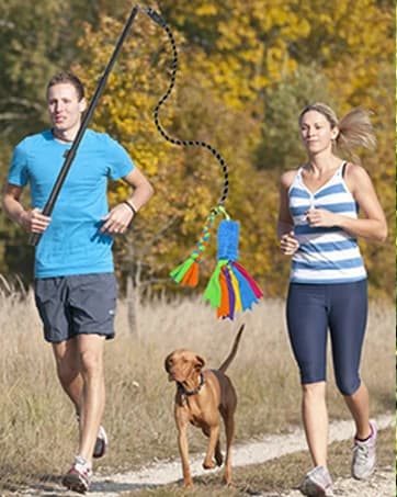 Dog Extendable Teaser Wand Pet Flirt Stick Pole Puppy Chasing Tail Interactive Toy for Small, Medium, and Large — collection imagery