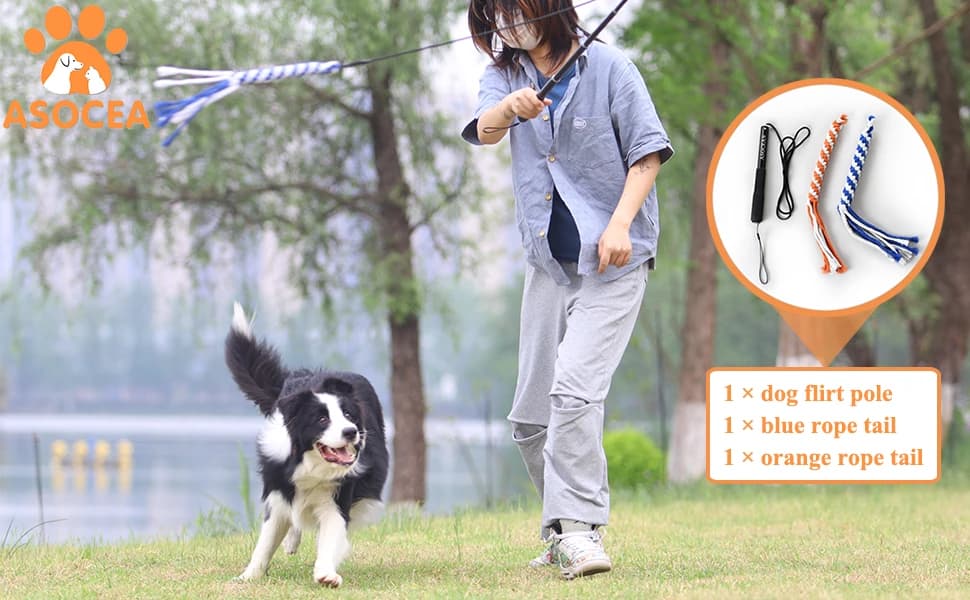 Dog Extendable Teaser Wand Pet Flirt Stick Pole Puppy Chasing Tail Interactive Toy for Small, Medium, and Large — WHY CHOOSE DOG FLIRT POLE?