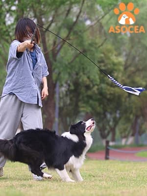 Dog Extendable Teaser Wand Pet Flirt Stick Pole Puppy Chasing Tail Interactive Toy for Small, Medium, and Large — DOG CHEWING ROPE TOYS