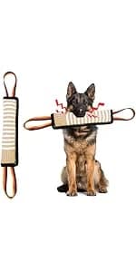 Dog Extendable Teaser Wand Pet Flirt Stick Pole Puppy Chasing Tail Interactive Toy for Small, Medium, and Large — product details
