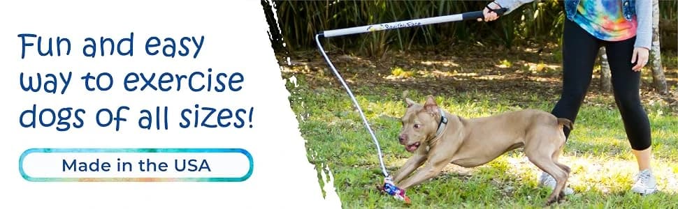 Flirt Pole V2 with Lure - Durable Dog Toy for Fun Obedience Training and Exercise — collection imagery
