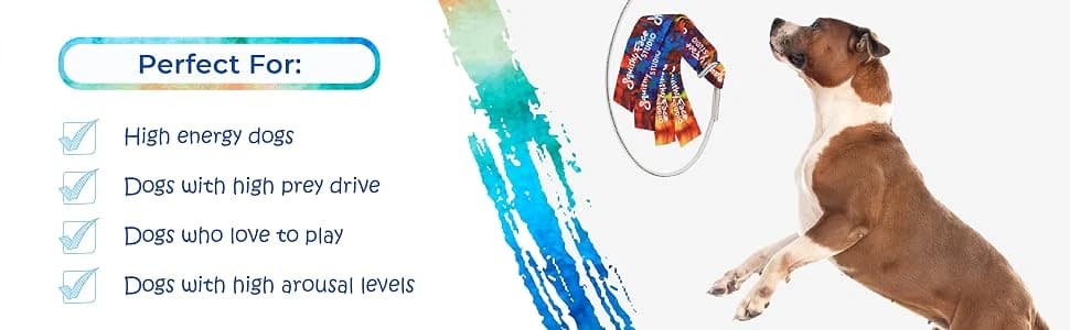 Flirt Pole V2 with Lure - Durable Dog Toy for Fun Obedience Training and Exercise — collection imagery