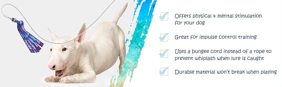 Flirt Pole V2 with Lure - Durable Dog Toy for Fun Obedience Training and Exercise — collection imagery