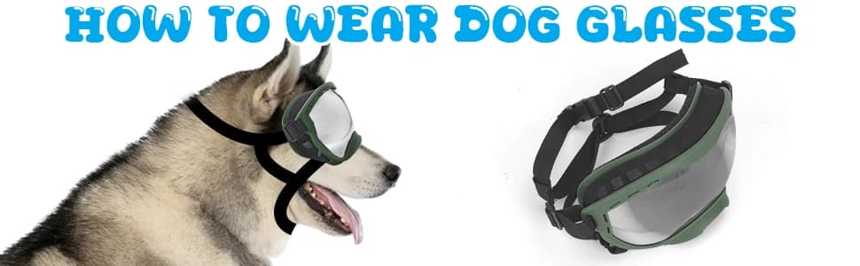 Dog Goggles for Large Dogs — UV Wind Dust Fog Protection — collection imagery