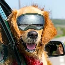Dog Goggles for Large Dogs — UV Wind Dust Fog Protection — Daily Walks
