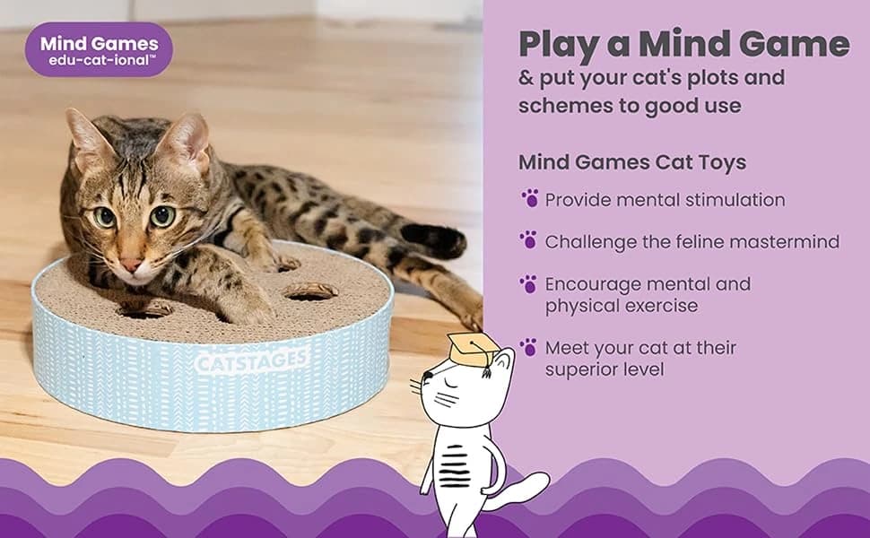 Scratch N' Hunt Interactive Cat Puzzle Toy with Scratcher — product details