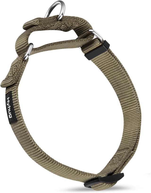 Martingale Collar for Dogs — Large Green