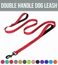 Martingale Collar for Dogs — Escape Proof No Pull — collection imagery