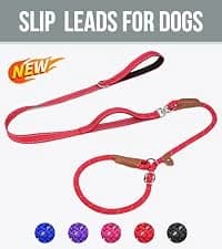Martingale Collar for Dogs — Escape Proof No Pull — collection imagery