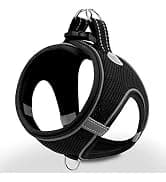 Martingale Collar for Dogs — Escape Proof No Pull — collection imagery