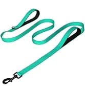 Martingale Collar for Dogs — Escape Proof No Pull — collection imagery