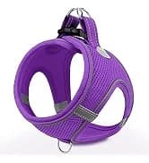 Martingale Collar for Dogs — Escape Proof No Pull — collection imagery
