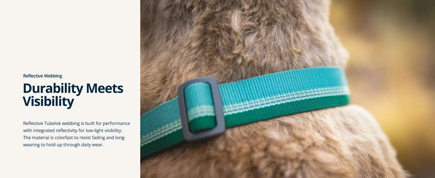 Chain Reaction Martingale Dog Collar — product details