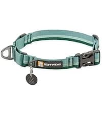 Chain Reaction Martingale Dog Collar — collection imagery