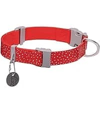 Chain Reaction Martingale Dog Collar — collection imagery