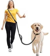 Hands Free Dog Leash — Galaxy Reflective — collection imagery