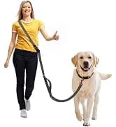 Hands Free Dog Leash — Galaxy Reflective — collection imagery