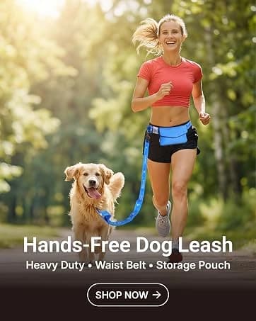 Hands Free Dog Leash — Galaxy Reflective — collection imagery