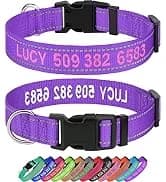 Double Dog Leash Coupler for Two Dogs — 1/3" Lightweight Dual Leash Extension for Small and Medium Dogs — collection imagery