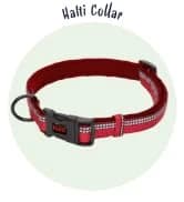 Headcollar | Size 2 — Black | Training Collar for Medium Dogs — collection imagery