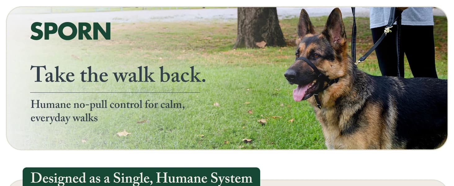 Head Halter for Dogs — No Pull Dog Harness — product details