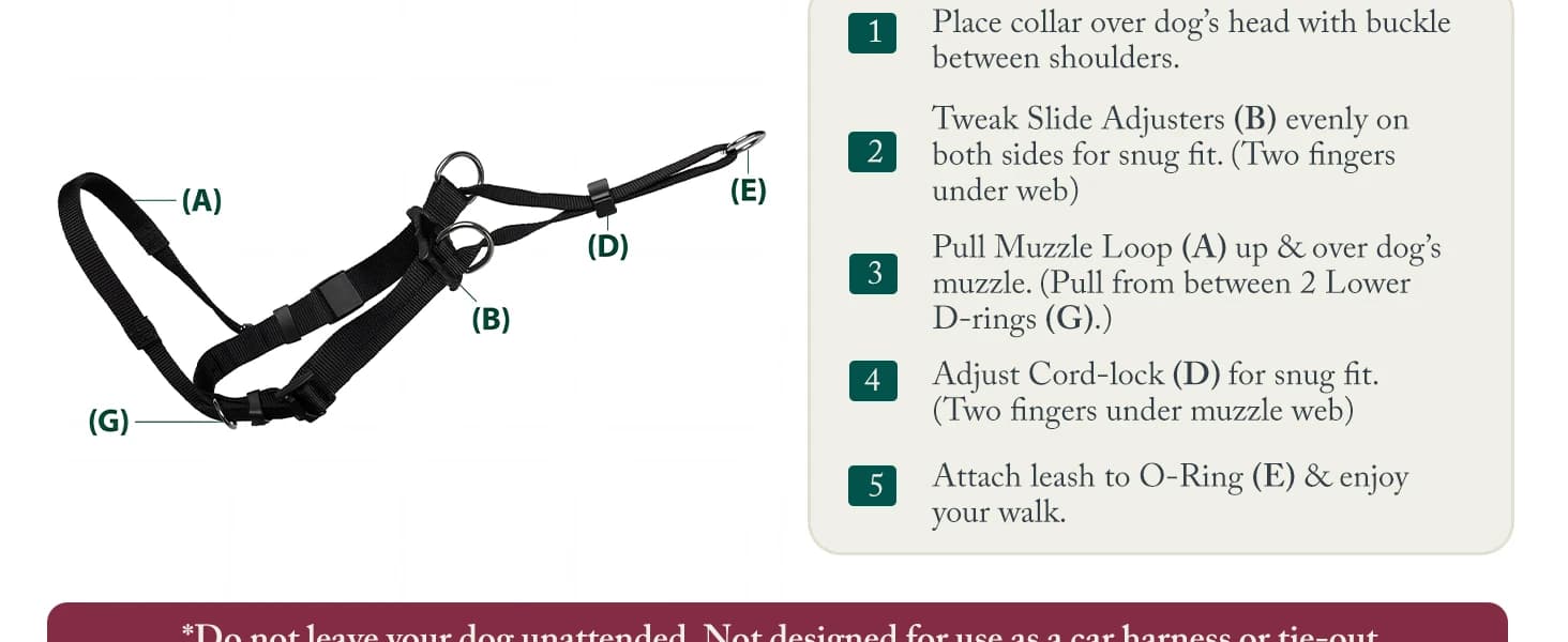 Head Halter for Dogs — No Pull Dog Harness — product details