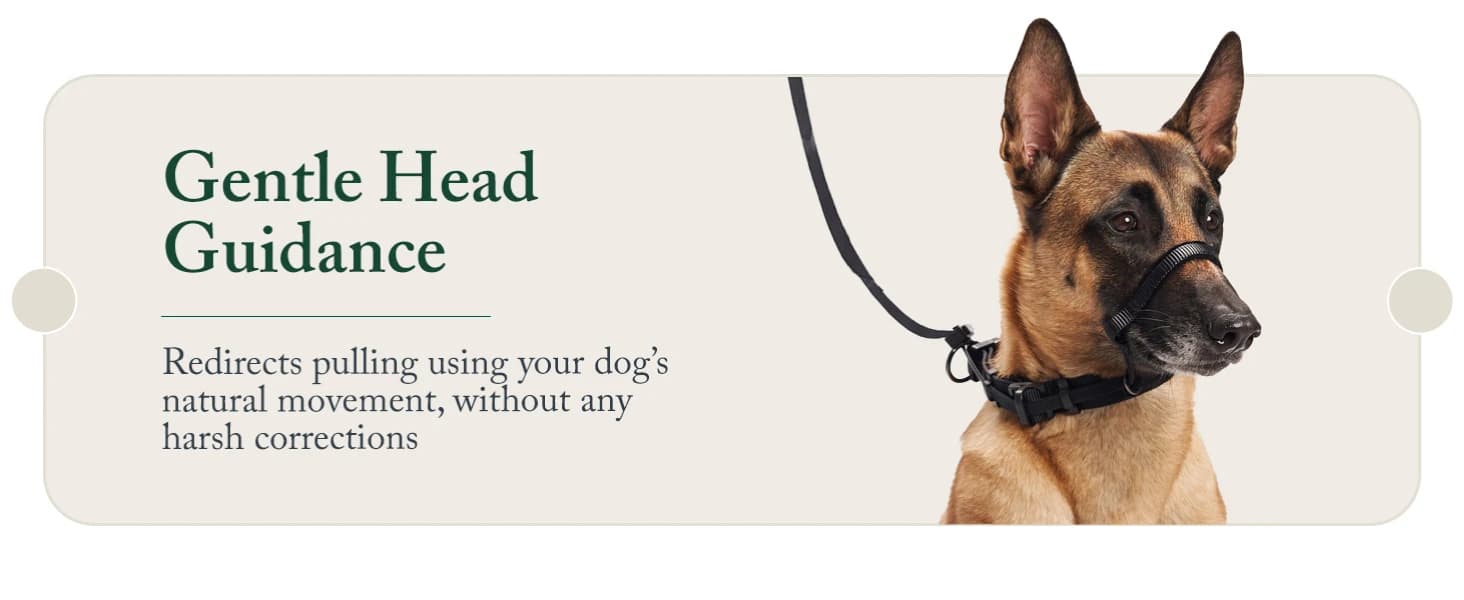 Head Halter for Dogs — No Pull Dog Harness — product details