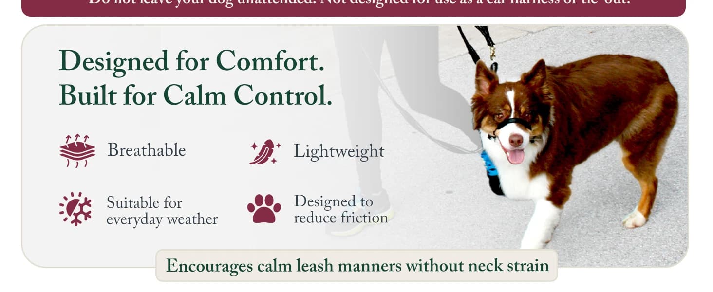 Head Halter for Dogs — No Pull Dog Harness — product details