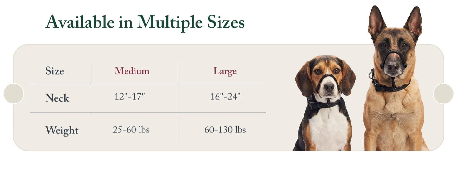 Head Halter for Dogs — No Pull Dog Harness — product details
