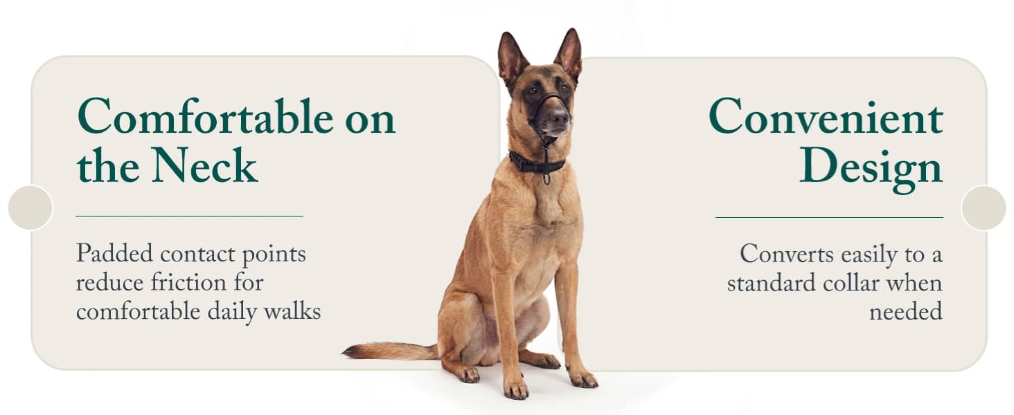 Head Halter for Dogs — No Pull Dog Harness — product details
