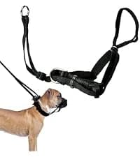 Head Halter for Dogs — No Pull Dog Harness — collection imagery