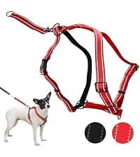 Head Halter for Dogs — No Pull Dog Harness — collection imagery