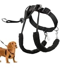 Head Halter for Dogs — No Pull Dog Harness — collection imagery
