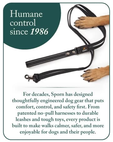 Head Halter for Dogs — No Pull Dog Harness — collection imagery